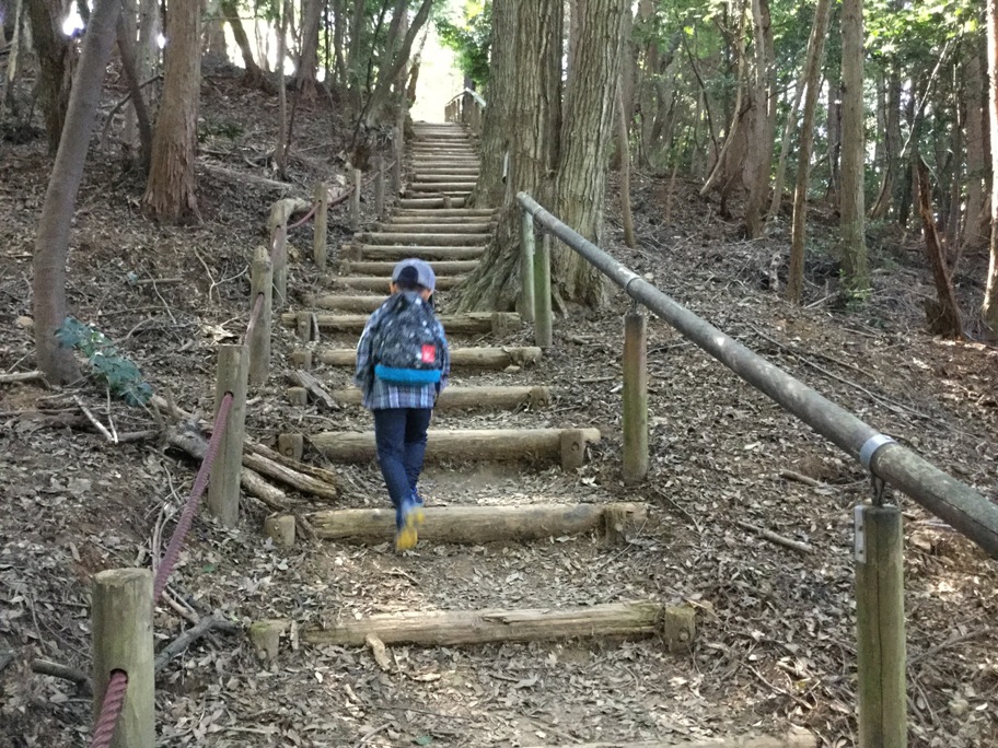 長い階段を上ってます