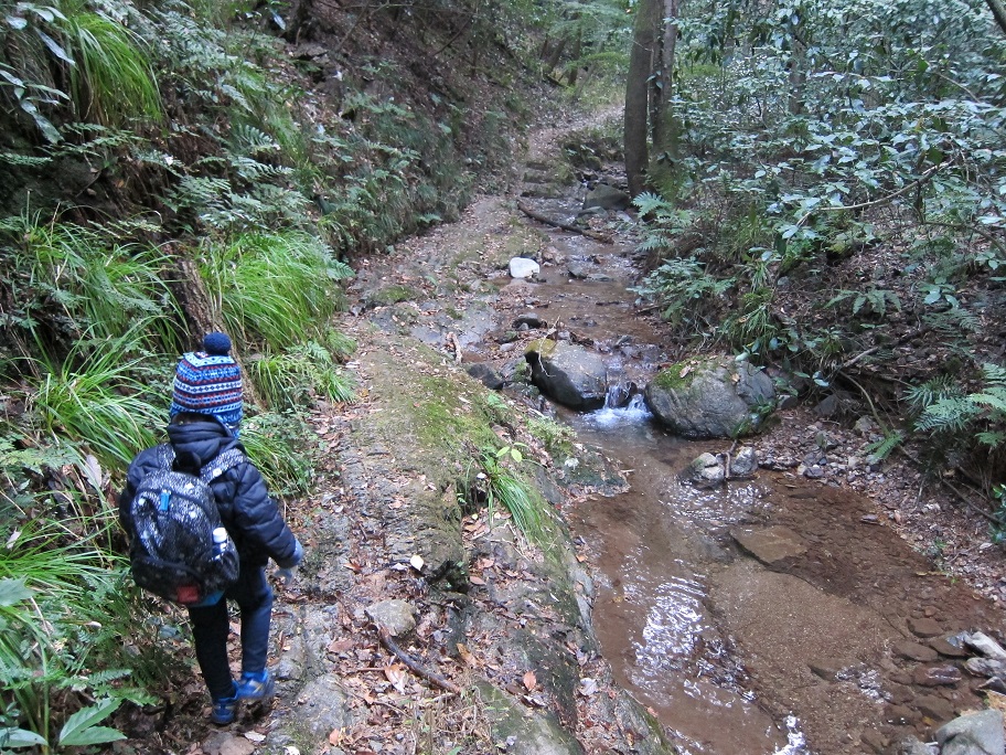 晩秋の早朝、肌寒い中沢のふちを歩く