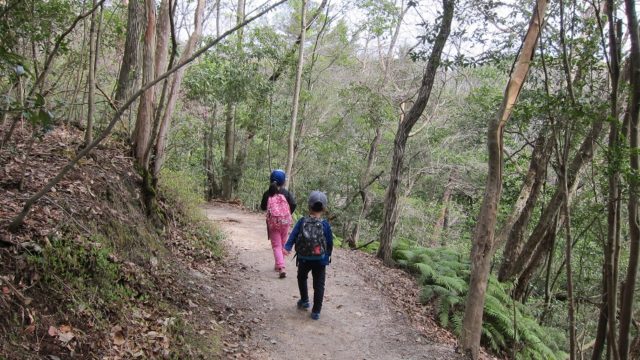 猿投山登山道