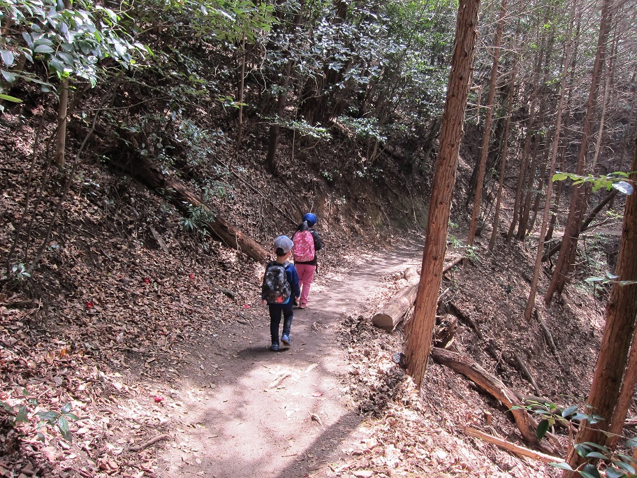猿投山の登山道