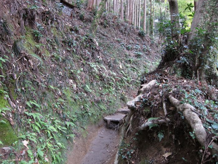 飯盛山のぼり