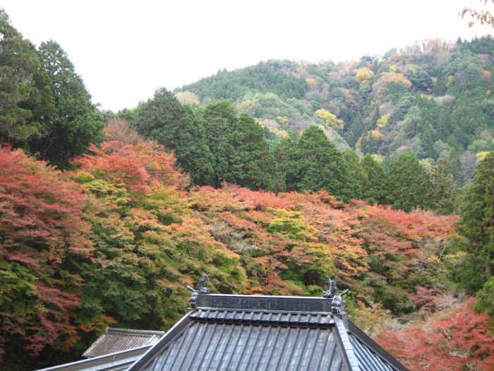飯盛山からの眺め