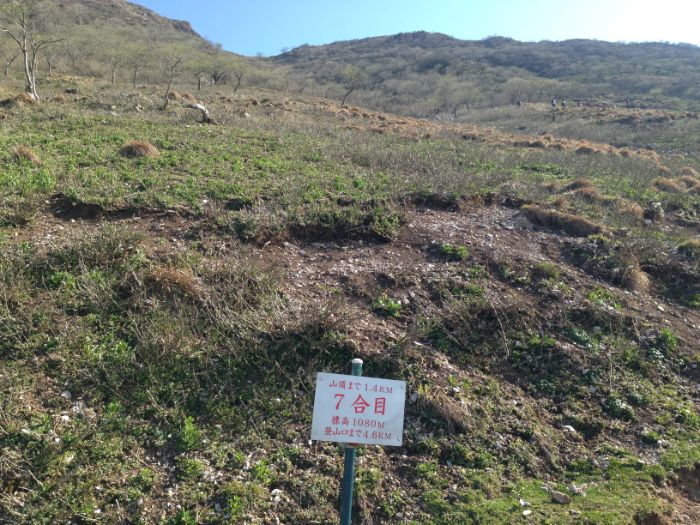 伊吹山7合目