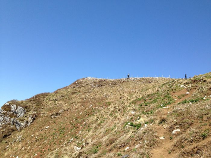 伊吹山9合目