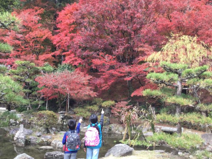 香嵐渓紅葉
