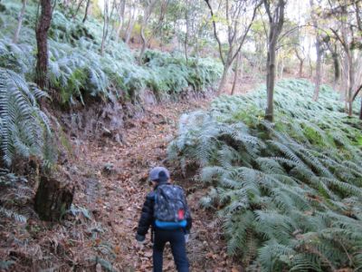 継鹿尾山~犬山寂光院周回コース