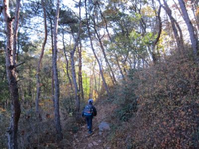 継鹿尾山~犬山寂光院周回コース