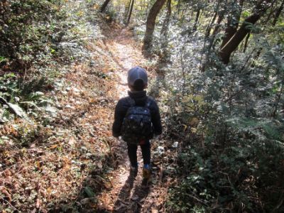 継鹿尾山~犬山寂光院周回コース