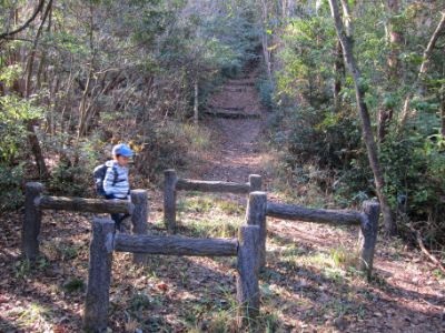 継鹿尾山~犬山寂光院周回コース