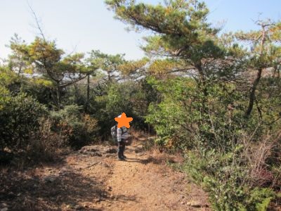 継鹿尾山~犬山寂光院周回コース道迷い