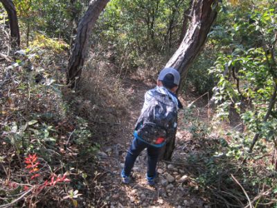 継鹿尾山~犬山寂光院周回コース