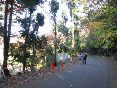 継鹿尾山~犬山寂光院周回コース